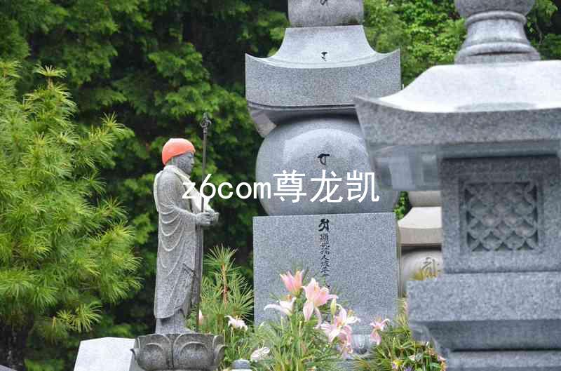 z6com尊龙凯