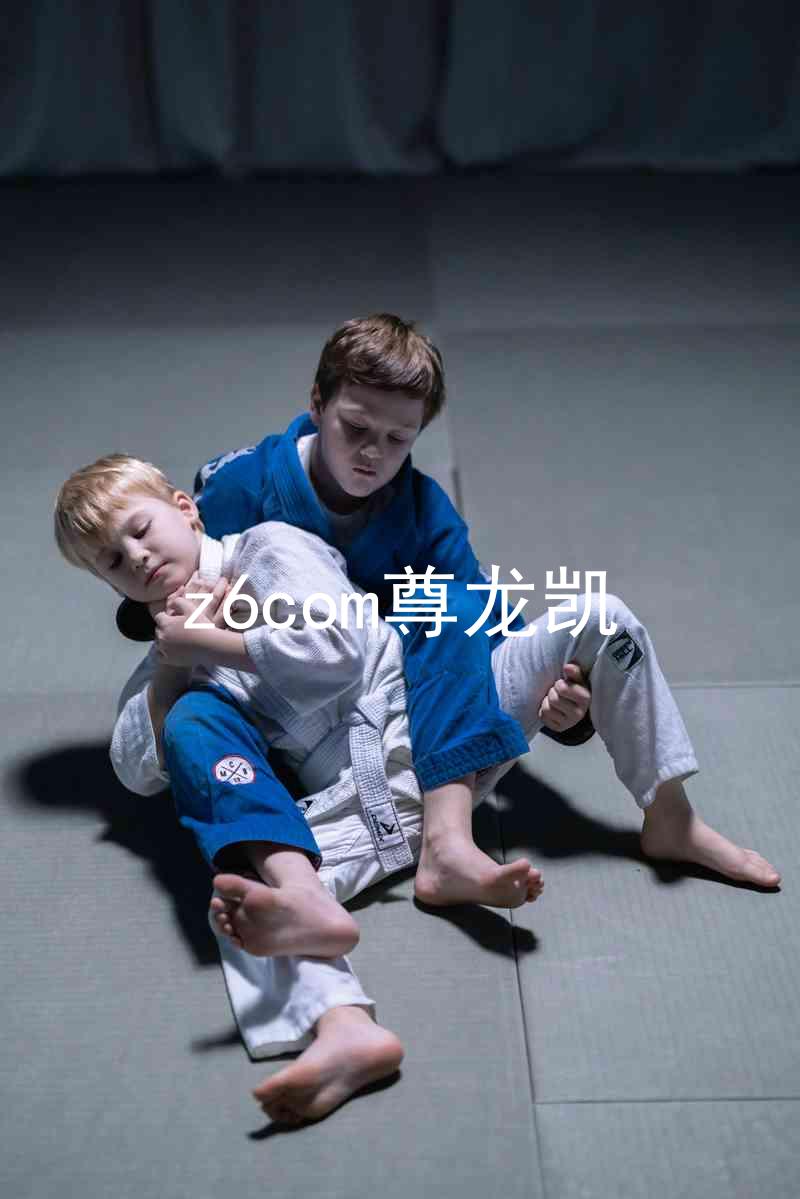 z6com尊龙凯
