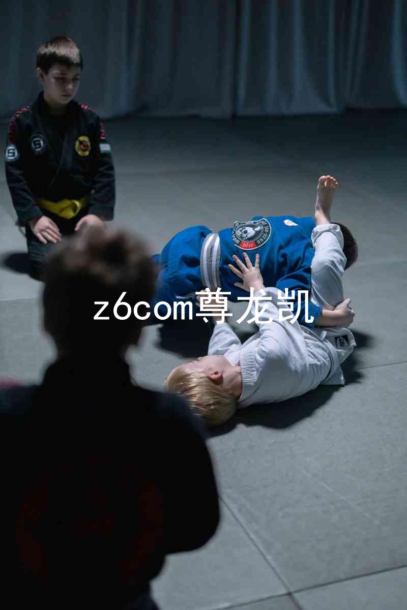 z6com尊龙凯